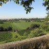 casa Orlando-Zingales - la balaustra