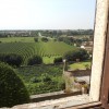 castello di Bornato - vista sulle vigne di famiglia