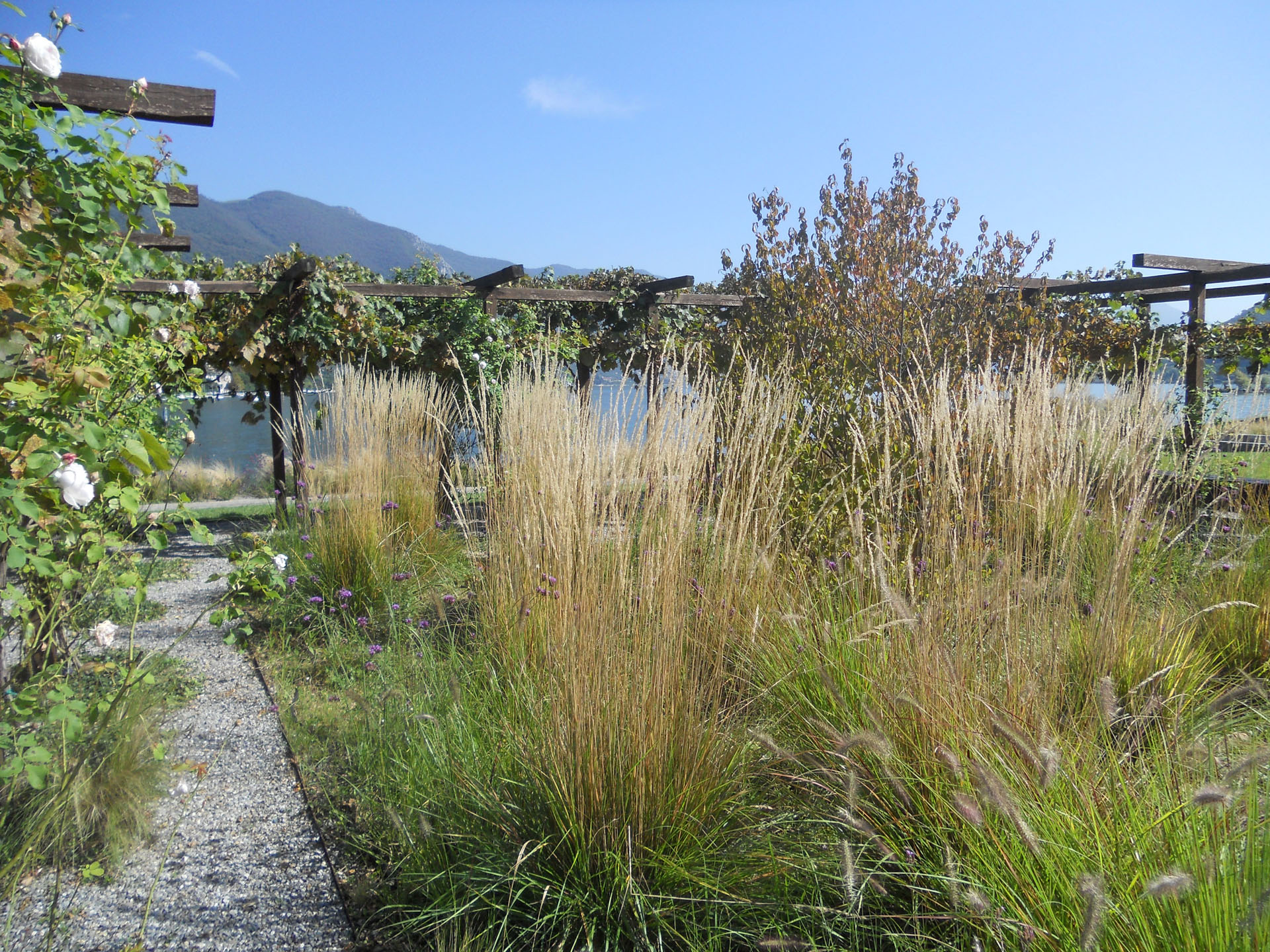 <p>Giardino delle erbe danzanti Paratico lago d’Iseo</p>
