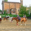 villa Cantoni Marca Di Rosa - in campo