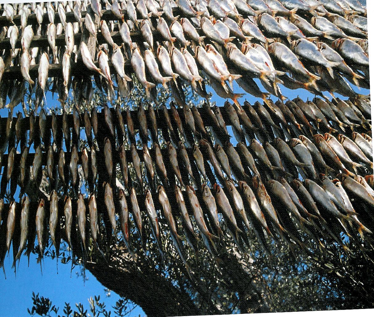 <p>sardine ad essiccare, specialità dell’isola</p>
