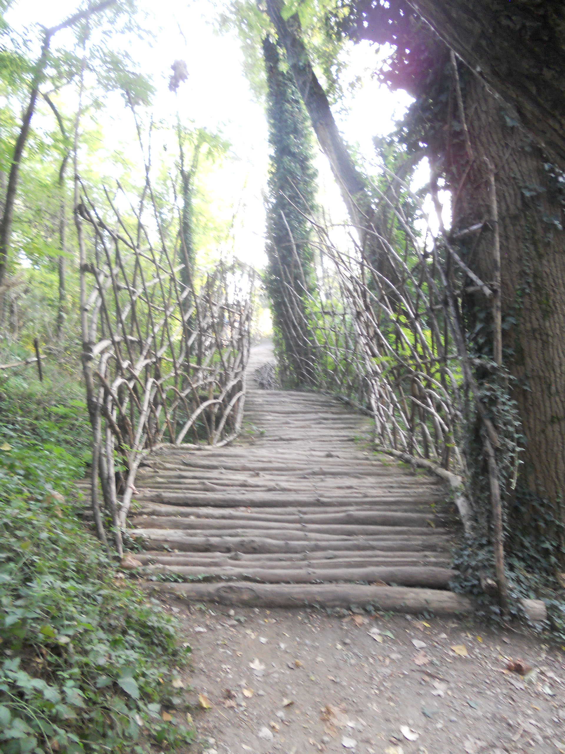 <p>ponte dello scultore Mori</p>
