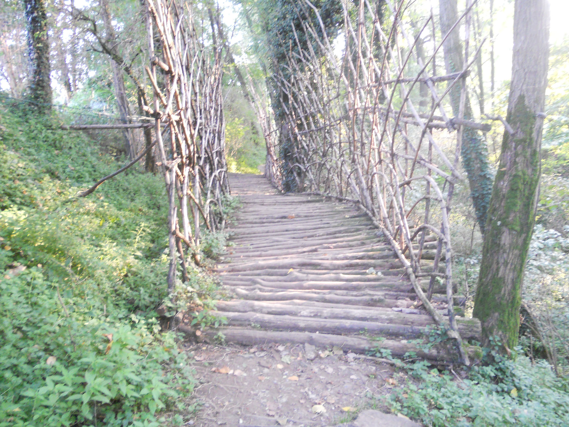 <p>ponte dello scultore Mori</p>

