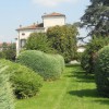 villa Guarneri - particolari del percorso del viale dei bossi