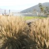 Giardino delle erbe danzanti - scorci di lago